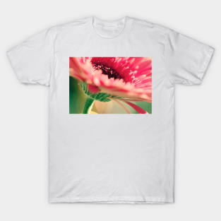 Beauty T-Shirt